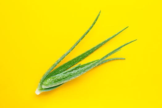 Aloe vera is a popular medicinal plant for health and beauty, on yellow background.