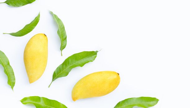 Tropical fruit, Mango  on white background. Top view
