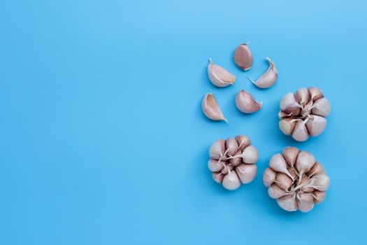Garlic on blue background. Healthy eating concept