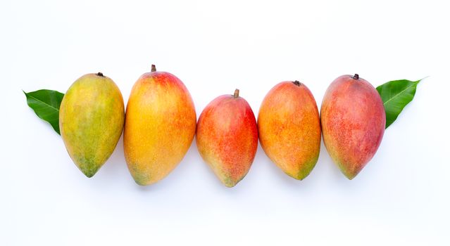 Tropical fruit, Mango  on white background. Top view