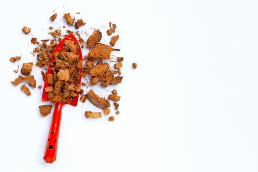 Coconut shell's hair  with gardening tools on white background. Copy space
