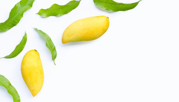 Tropical fruit, Mango  on white background. Top view