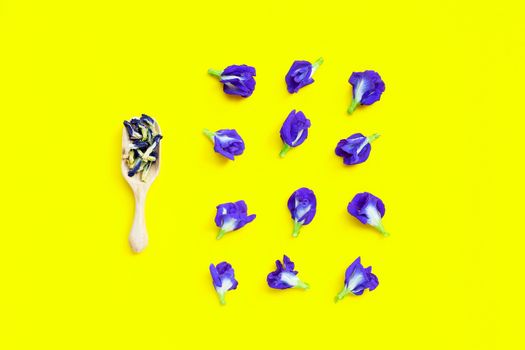 Dry Butterfly pea with fresh flower on yellow background. Top view