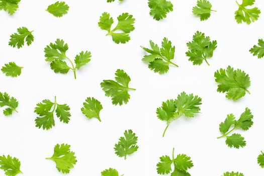Fresh coriander leaves on a white background.