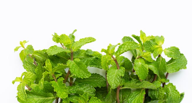 Fresh mint leaves on white background.