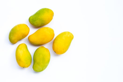 Tropical fruit, Mango  on white background. Top view