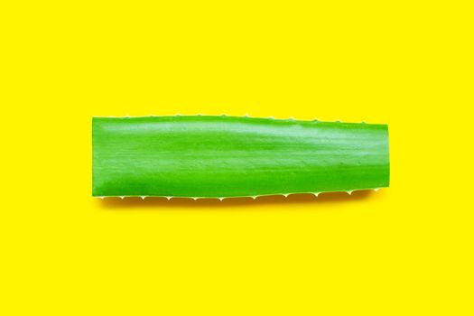Aloe vera is a popular medicinal plant for health and beauty. Top view