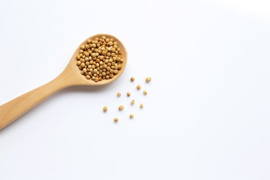 Coriander seeds in the wooden spoon on white background.