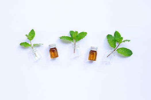 Fresh mint leaves with essential oil bottle on white background. Copy space