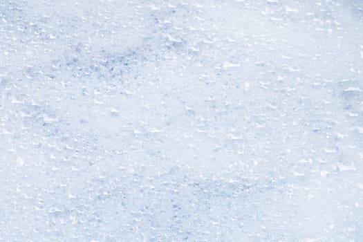 Detergent foam bubble. Top view