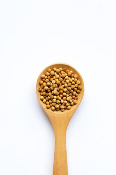 Coriander seeds in the wooden spoon on white background.
