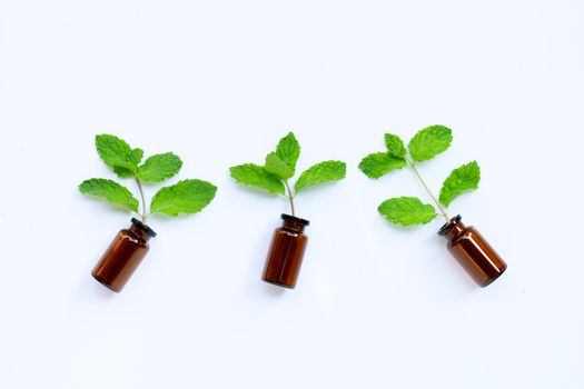 Essential oil bottle with fresh mint leaves on white background. 