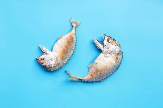 Short mackerel fish on blue background. Top view