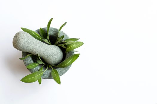 Sage leaves in stone mortar and pestle on white background. Top view