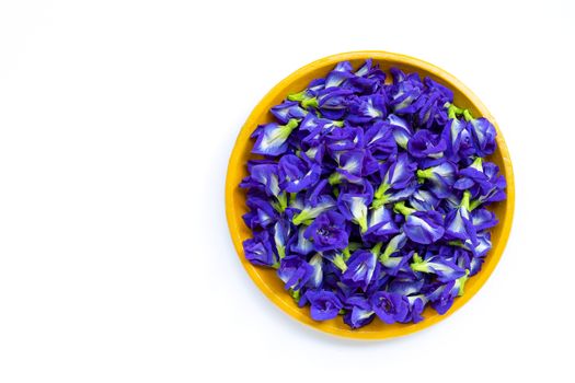 Fresh butterfly pea flower or blue pea in yellow plate on  white background. Copy space