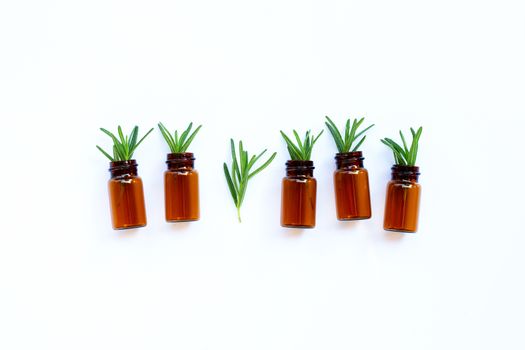 Fresh rosemary leaves with essential oil bottle on white background. Copy space