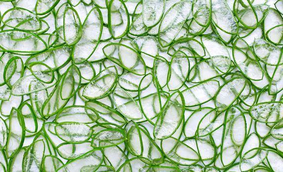 Aloe vera is a popular medicinal plant for health and beauty. Top view of aloe vera slices background.
