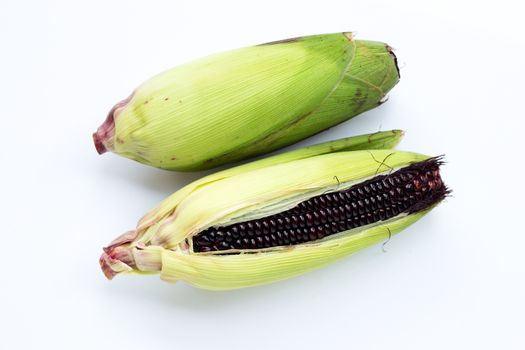 Black corn on a white background