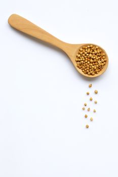 Coriander seeds in the wooden spoon on white background.