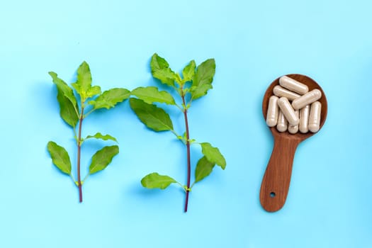 Holy basil leaves with herbal capsules on blue background. Top view