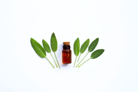 Essential oil with fresh sage leaves on white background. Top view