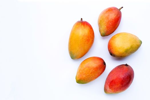 Tropical fruit, Mango on white background.  Copy space