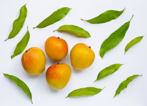 Mango, Tropical fruit with leaves on white background. Top view