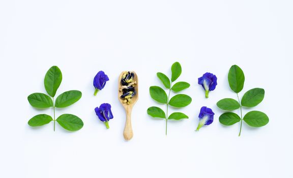 Dry Butterfly pea flower with green leaves on white background.