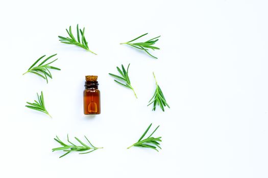 Fresh rosemary leaves with essential oil bottle on white background. Copy space