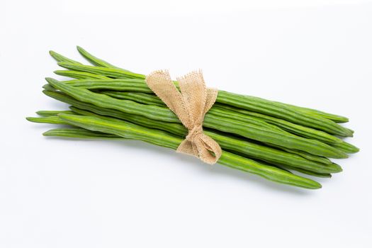 Moringa oleifera isolated on white background.
