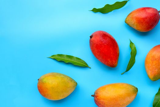 Tropical fruit, Mango  on blue background. Top view