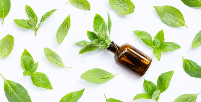 A bottle of essential oil with fresh basil leaves on white background.