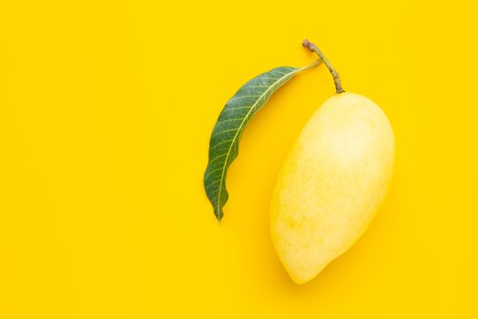 Top view of yellow mango, Tropical fruit  juicy and sweet.