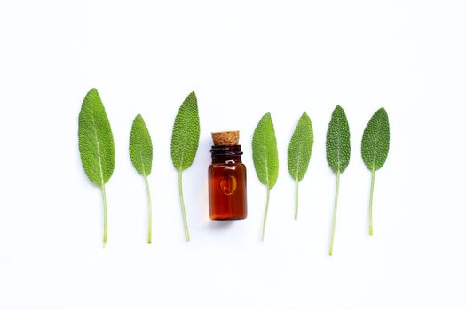 Essential oil bottle with sage leaves on white background.