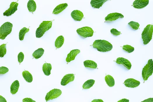 Fresh  mint leaves  on white background.