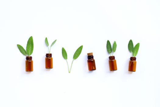 Essential oil with fresh sage leaves on white background. Top view