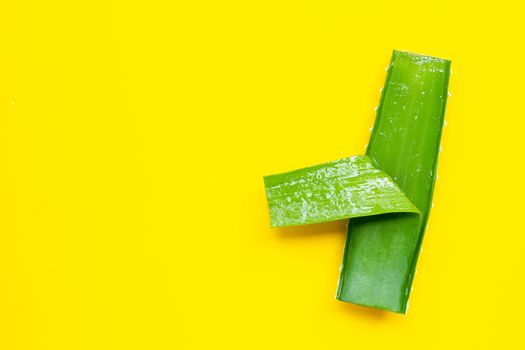 Aloe vera is a popular medicinal plant for health and beauty. Top view
