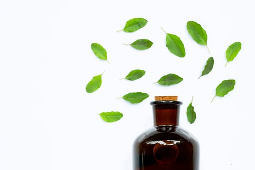 Bottle of essential oil with holy basil leaves on white background.