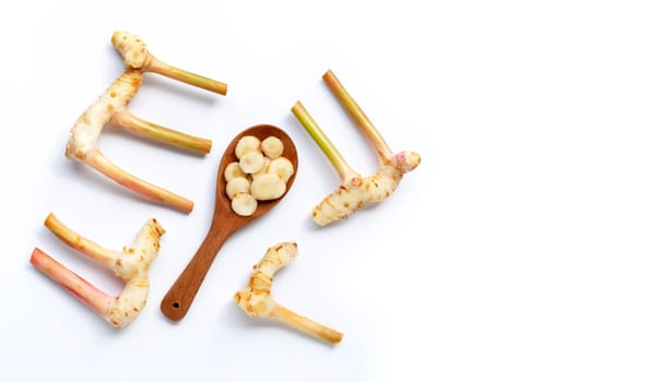 Fresh galangal isolated on white background.
