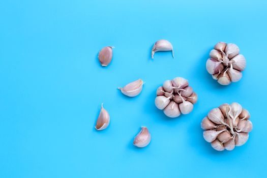 Garlic on blue background, top view with copy space