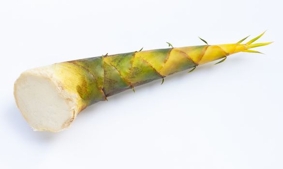 Fresh bamboo shoot on white background.