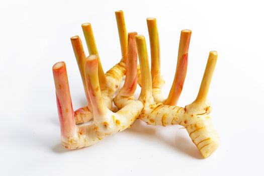 Fresh galangal isolated on white background.