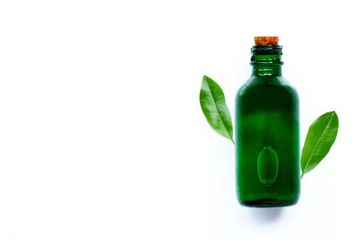 Essential oil bottle with green leaves on white background. Copy space