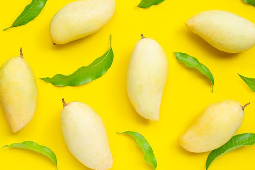 Tropical fruit, Mango  on yellow background. Top view