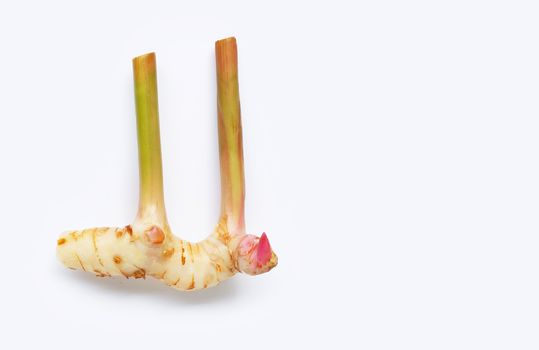Fresh galangal isolated on white background.