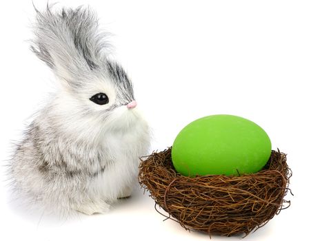 A cute little long hair bunny rabbit and bright colored easter egg, isolated on white background.