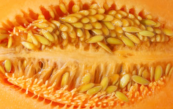 close up of halved ripe cantaloupe showing rows of juicy seeds