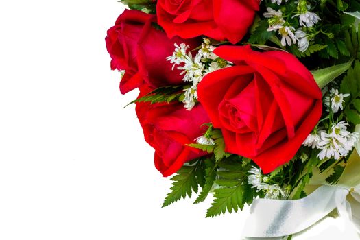 closeup image of a bouquet of red roses, on white background