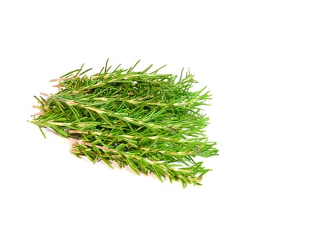 a bunch of fresh rosemary, isolated on white background