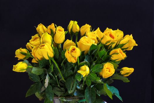 a bouquet of beautiful bright yellow roses in a glass vase, black background